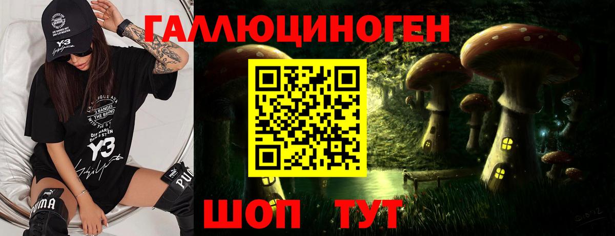 Галлюциногенные грибы GOLDEN TEACHER Барнаул