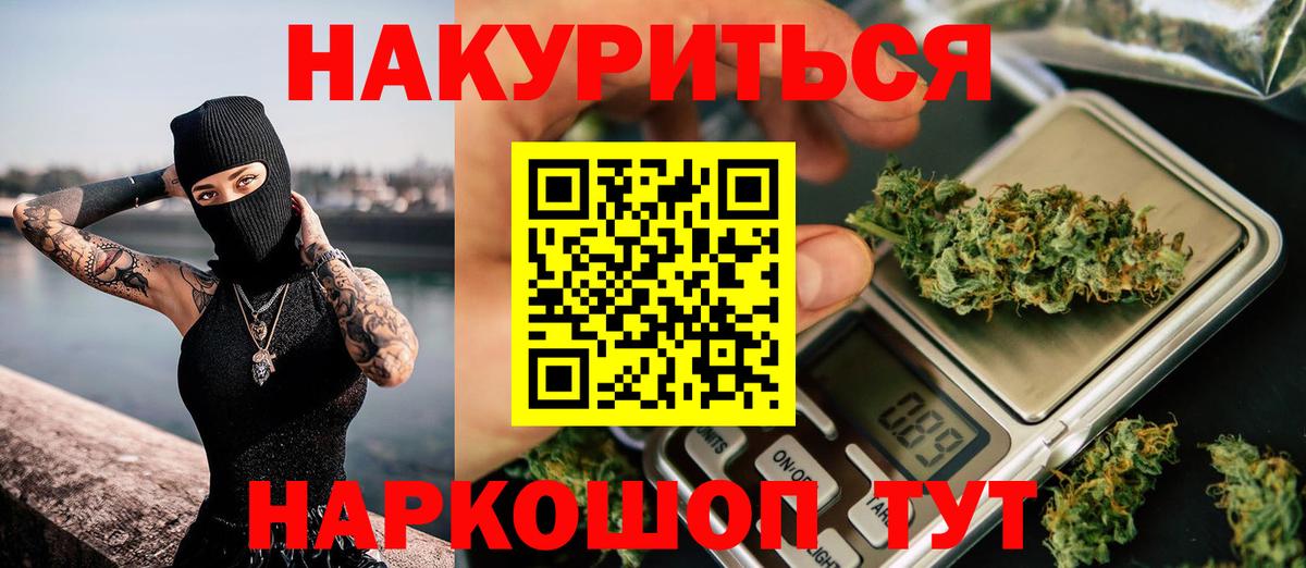 Каннабис сатива Барнаул